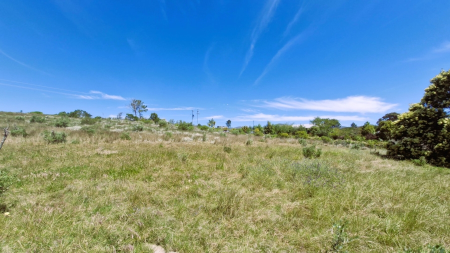 Commercial Property for Sale in Napier Western Cape